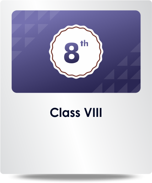 Class VIII